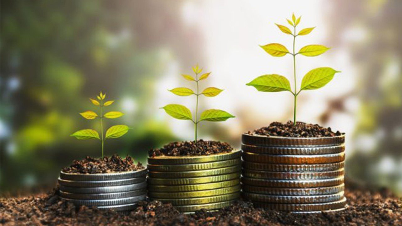 IPOs & Funding Strategies